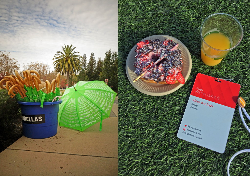 canopy headquarter google