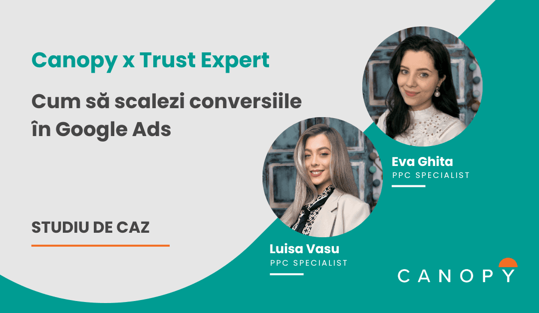 conversii google ads